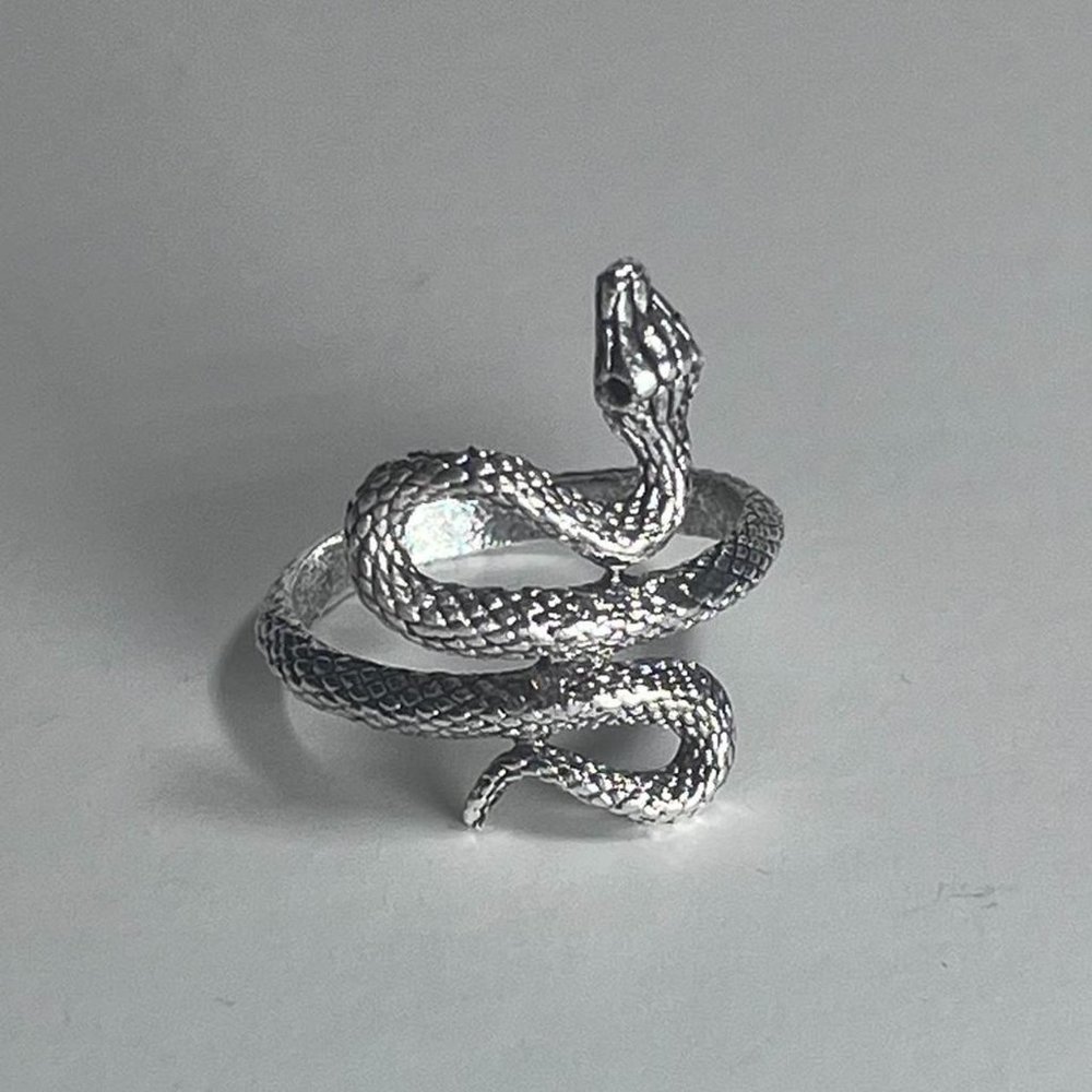 Y2K Silver Custom Snake Ring